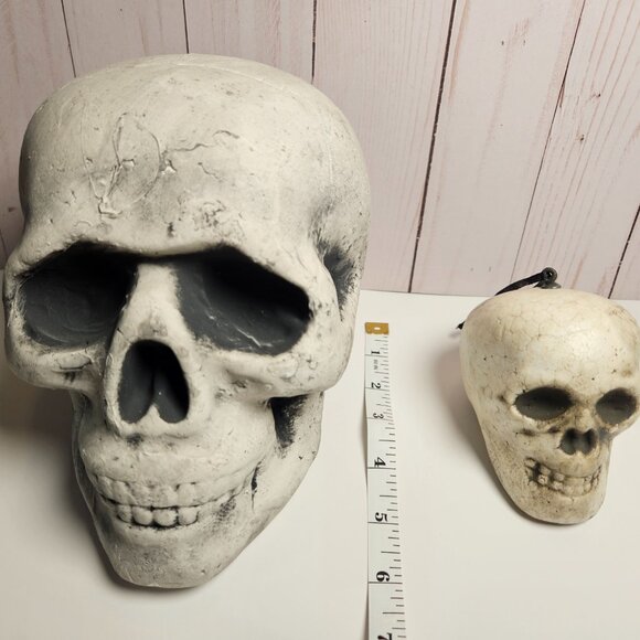 2 Skulls and set of 4 Mini Skeletons - Picture 3 of 4